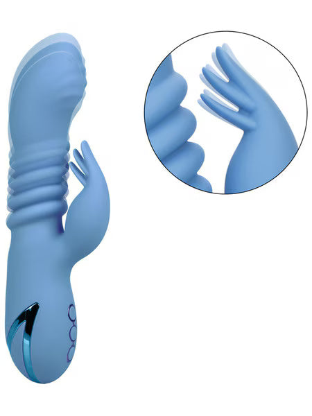 Cali Dreaming Santa Cruz Coast