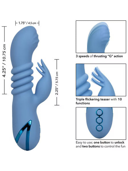 Cali Dreaming Santa Cruz Coast