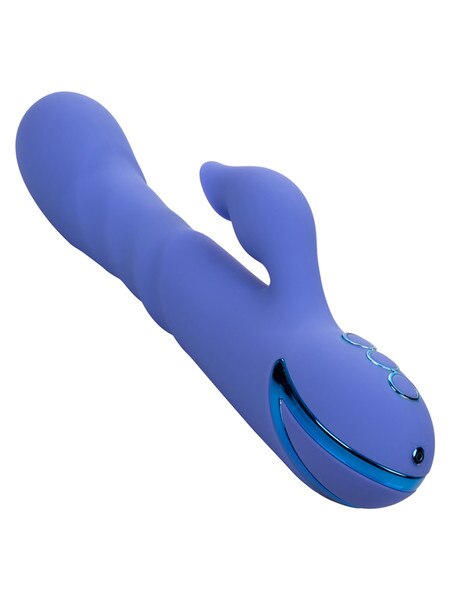 Cal Dreaming L.A. LOVE