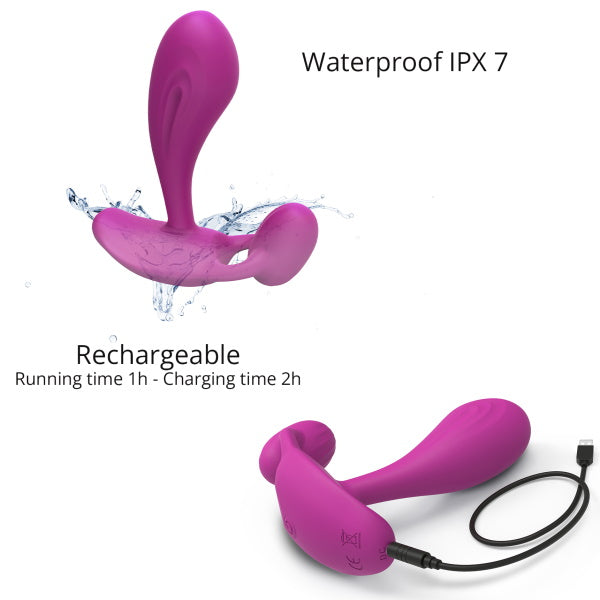 LTL  WITTY P&G Vibe Orchid