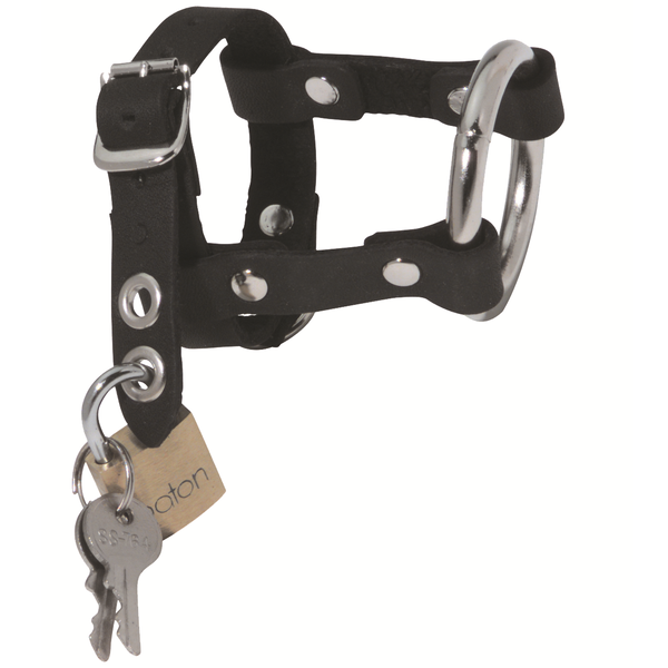 Locking C&B Harness