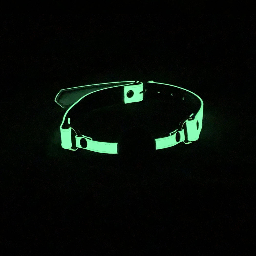 LL Glow in Dark Gag