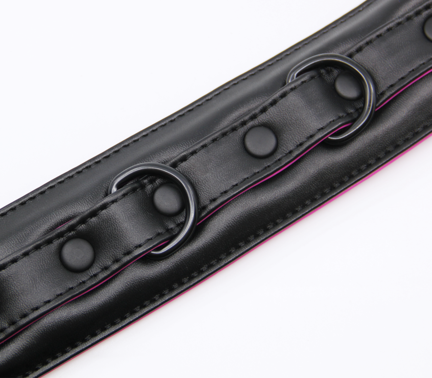 BB Collar and Lead BCOL23