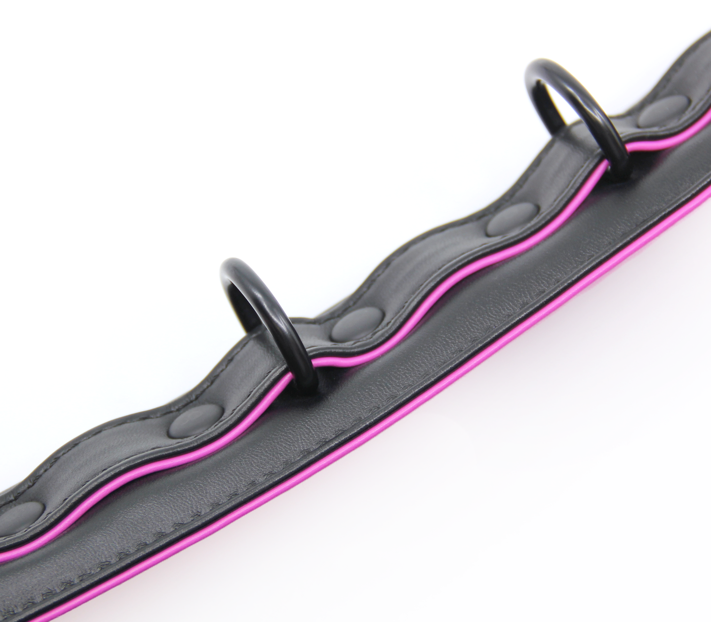 BB Collar and Lead BCOL23