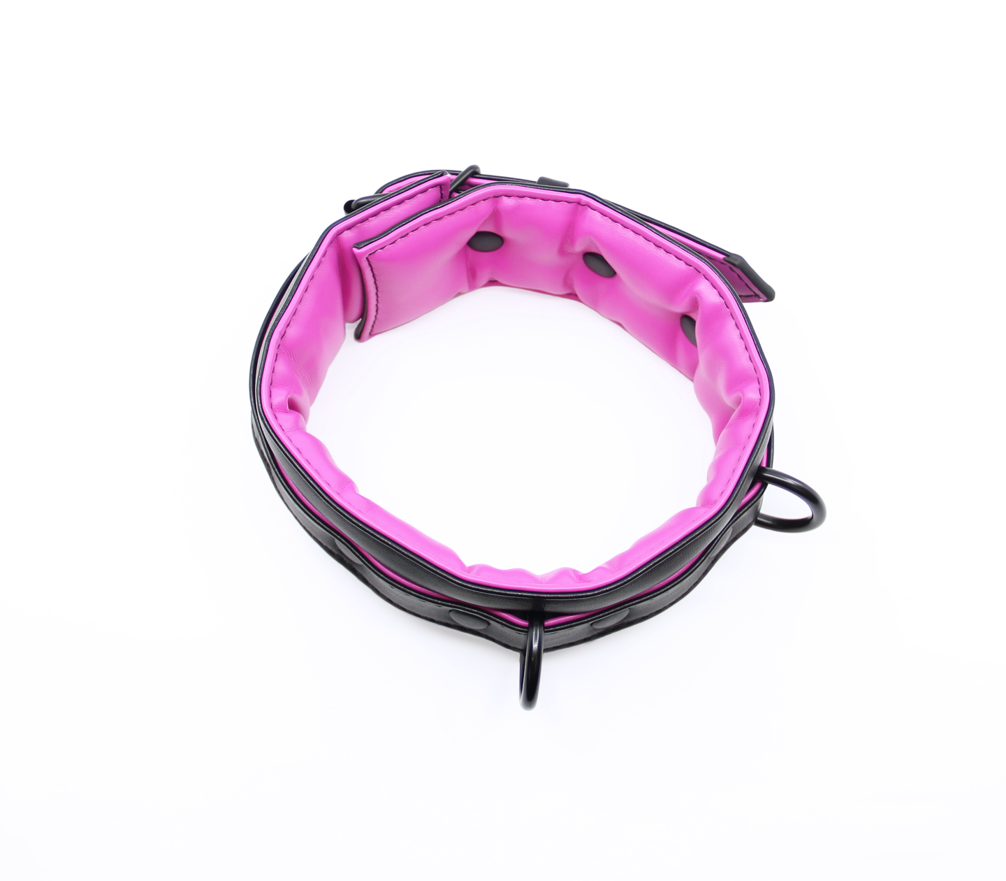 BB Collar and Lead BCOL23
