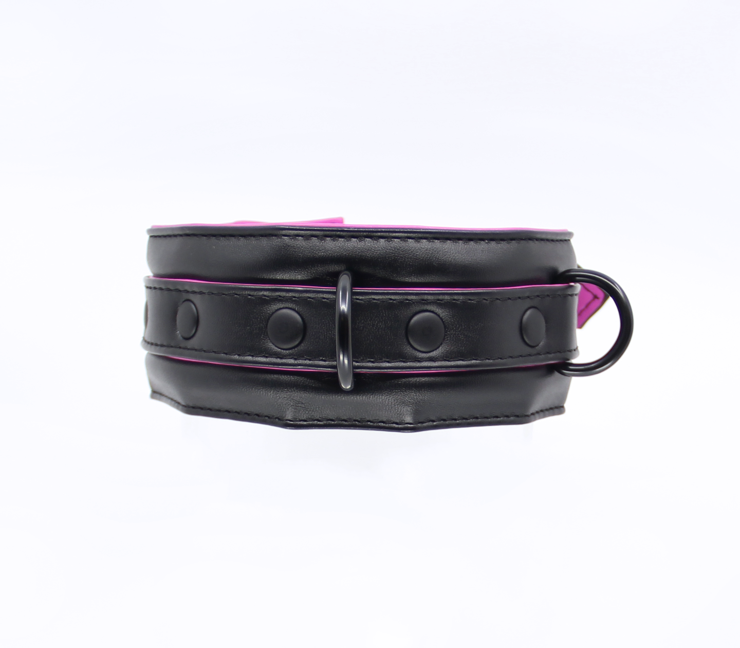 BB Collar and Lead BCOL23